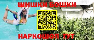 амф Сланцы