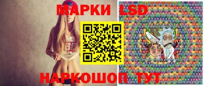 амф Сланцы
