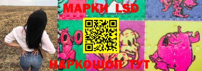 амф Сланцы