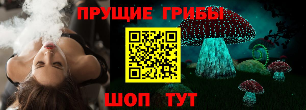 Псилоцибиновые грибы мицелий Новоалександровск