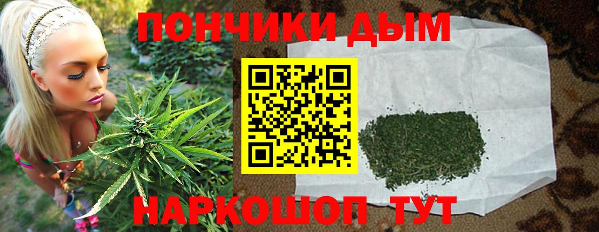 Бошки марихуана планчик Новоалександровск